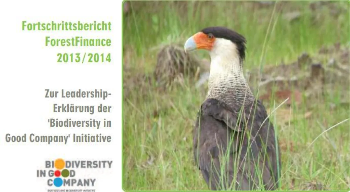 Bericht gibt Überblick über die ForestFinance-Aktivitäten