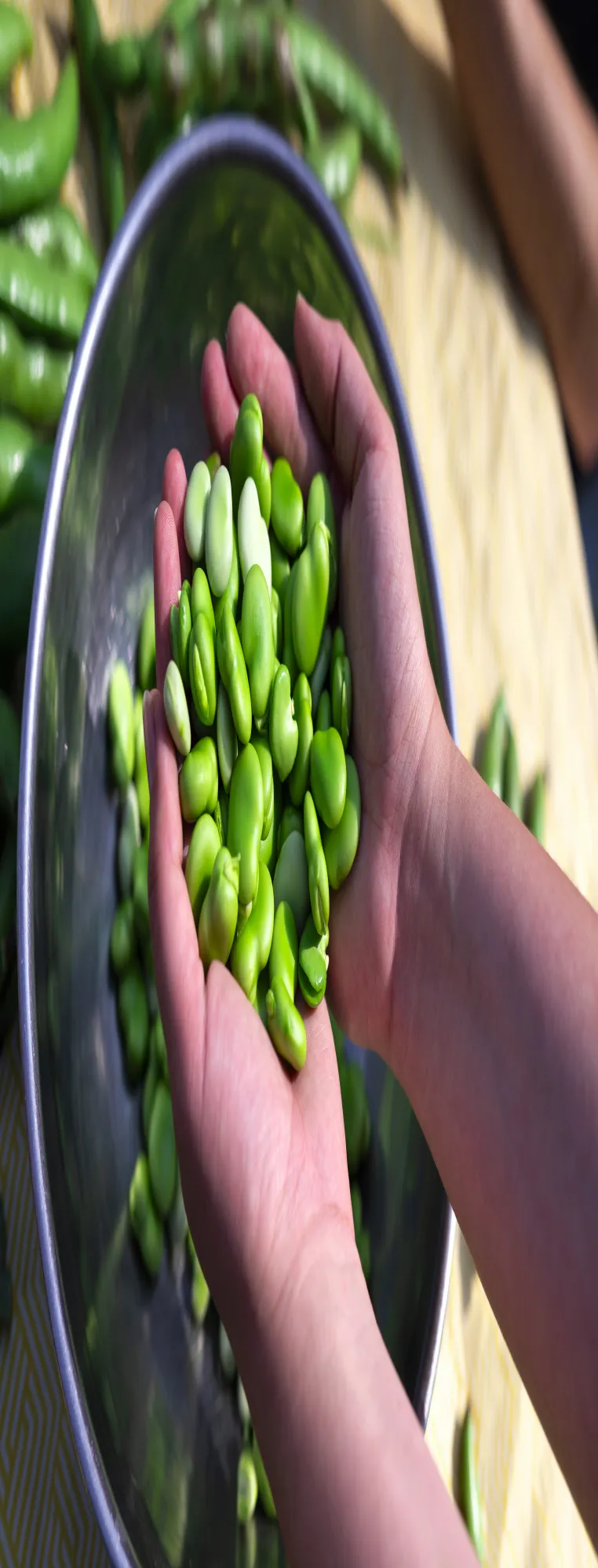 Bild: Tierindustrie gefährdet Ernährungssicherheit – Faba Konzepte fordert Umsteuern 