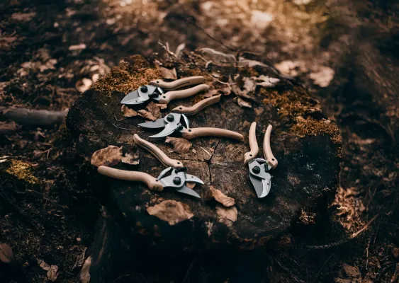 Bild: Original LÖWE stellt neue Submarke „natural“ vor