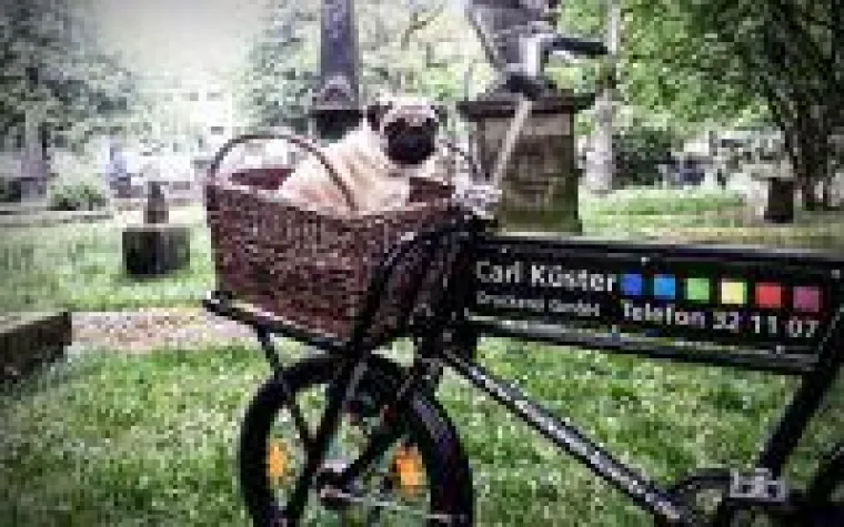 Carl Küster Druckerei feiert 130-jähriges Jubiläum Bild: Carl Küster Druckerei feiert 130-jähriges Jubiläum