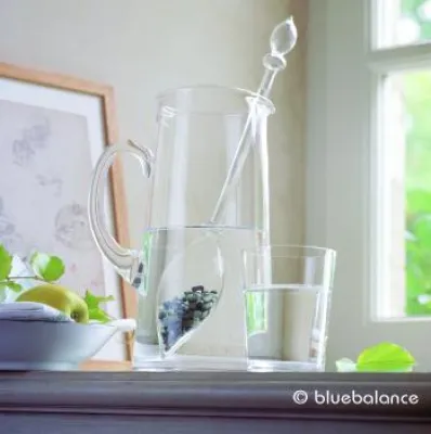 bluebalance: VitaJuwel gewinnt den “Gastro Vision Förderpreis 2008” als innovativstes Produkt der Branche Bild: bluebalance: VitaJuwel gewinnt den “Gastro Vision Förderpreis 2008” als innovativstes Produkt der Branche