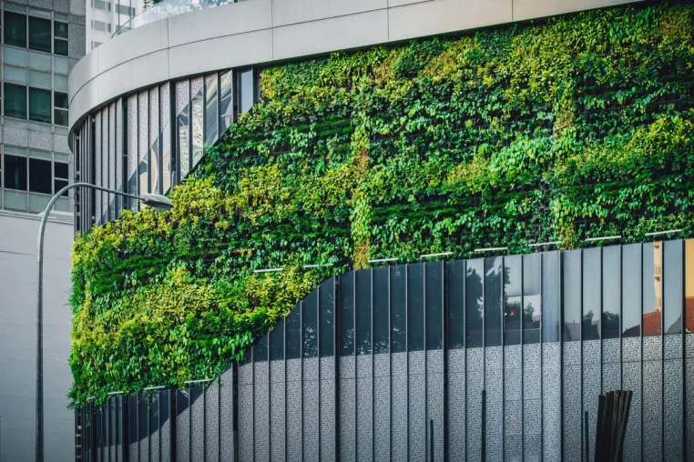 Bild: Green Impact-Fondsserie: BaFin genehmigt zweiten Artikel 9-Fonds von Wealthcore