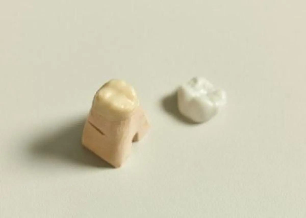 Zirkonkaeppchen mit Wachsfacette