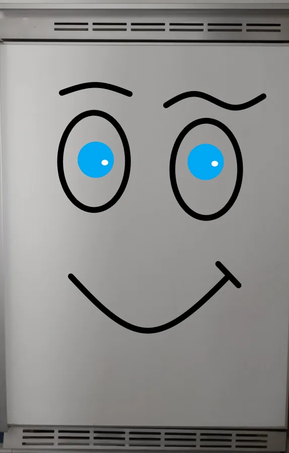 Symbolbild Cooler der Kühlschrank (© Peter Höfl)