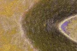 Schlimme Finger Bild: Schlimme Finger