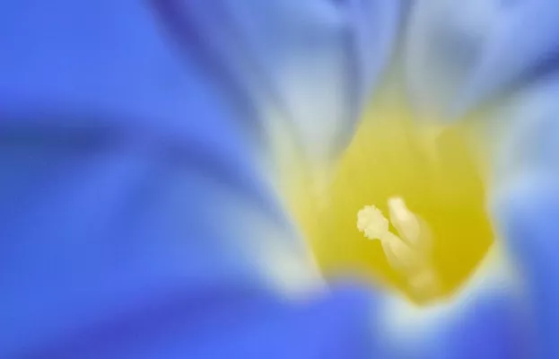 Bild: Fotoseminar „Makrofotografie“ im Botanischen Garten Berlin Dahlem