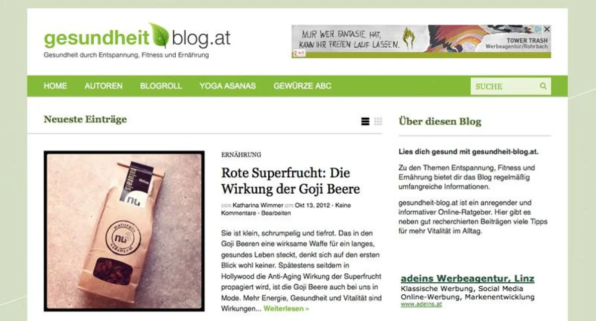 Die Startseite von gesundheit-blog.at