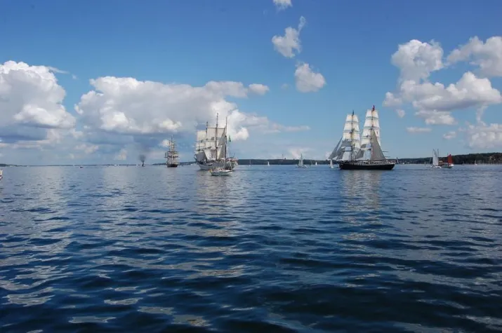 Bild: Mitsegeln zur Hanse Sail 2010