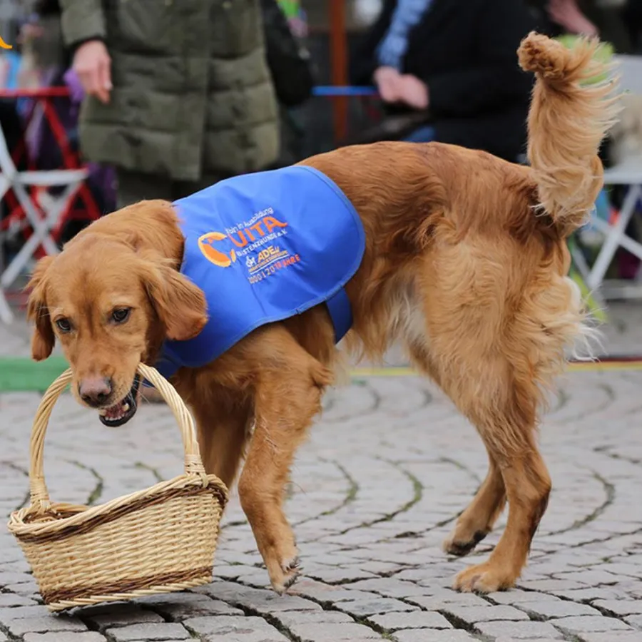 Förderung der VITA Assistenzhunde