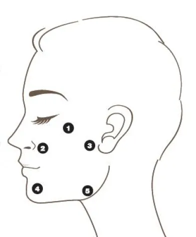 Bio-Remodelling - Ein neuer Ansatz für Anti-Aging-Behandlungen Bild: Bio-Remodelling - Ein neuer Ansatz für Anti-Aging-Behandlungen