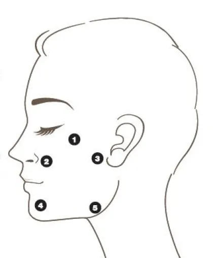 Bio-Remodelling - Ein neuer Ansatz für Anti-Aging-Behandlungen Bild: Bio-Remodelling - Ein neuer Ansatz für Anti-Aging-Behandlungen