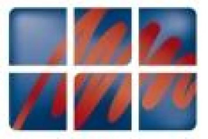 Marga Einsatz in Trainee Programmen Bild: Marga Einsatz in Trainee Programmen