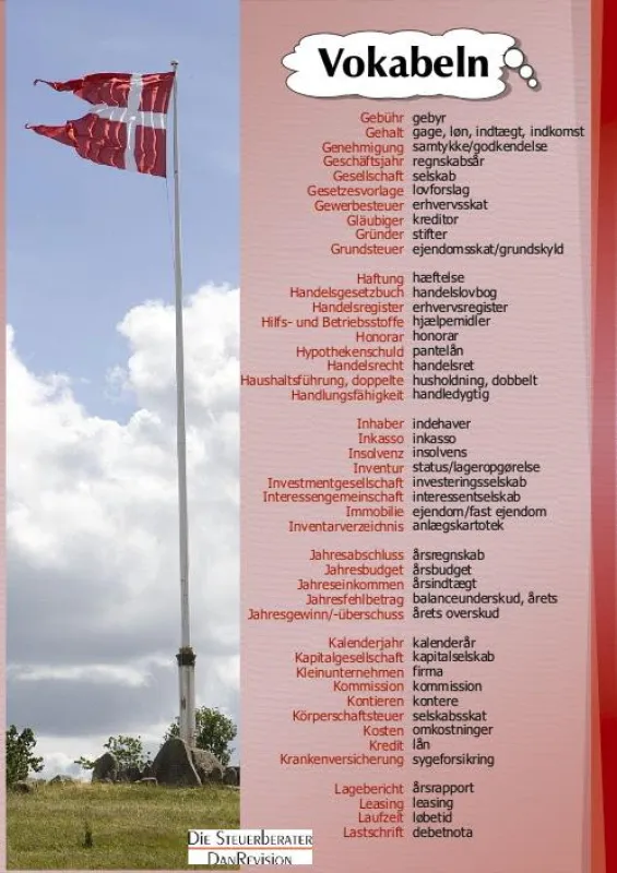Von der DanRevision Gruppe entwickeltes Vokabelposter
