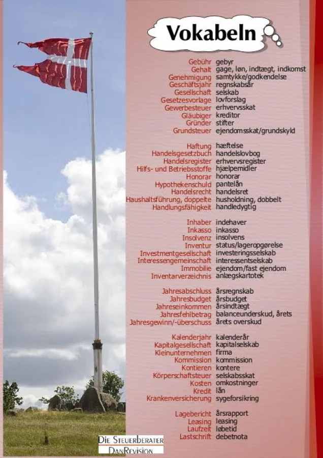 Von der DanRevision Gruppe entwickeltes Vokabelposter