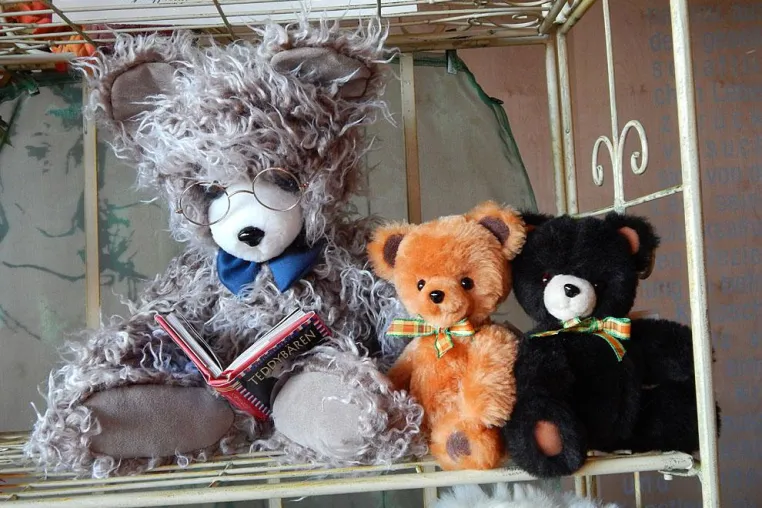 Dresdner Puppen- und Teddytag: Knopfaugen und Puppenträume Bild: Dresdner Puppen- und Teddytag: Knopfaugen und Puppenträume