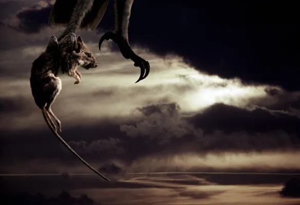 Bild: NATÜRLICH? – Schöner als wahr – Naturbilder zwischen Fotografie und Montage