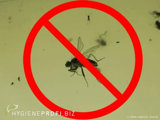 Bild: Insektenbekämpfung: Klebefallen, Spray-, Ventilator-Techniken, Elektrogitter & UV-Lampen