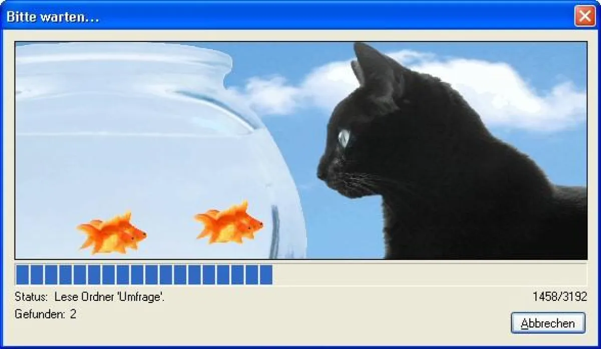 Bei der Suche nach Duplikaten