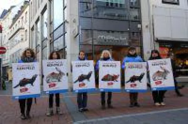 Deutsches Tierschutzbüro veröffentlicht Test-Ergebnisse des Bonner Pelz-Checks - 44 % der untersuchten Bild: Deutsches Tierschutzbüro veröffentlicht Test-Ergebnisse des Bonner Pelz-Checks - 44 % der untersuchten