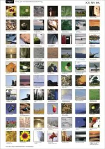 impuls – Verlag für Persönlichkeitsentwicklung - Geschenkaktion im Online-Shop Bild: impuls – Verlag für Persönlichkeitsentwicklung - Geschenkaktion im Online-Shop