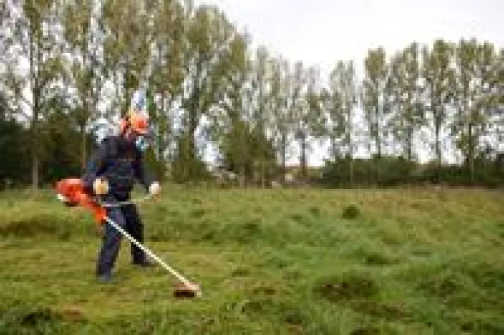 Profi-Motorsense der neuen Generation: Die ECHO SRM-420TESU arbeitet durchzugsstark und vibrationsarm Bild: Profi-Motorsense der neuen Generation: Die ECHO SRM-420TESU arbeitet durchzugsstark und vibrationsarm