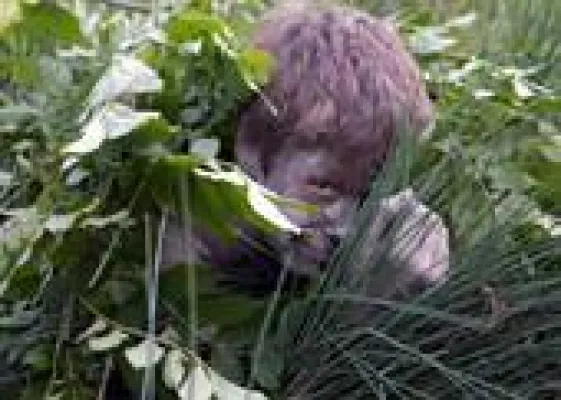 Bild: Natur pur - Lernen vom Wissen der Naturvölker