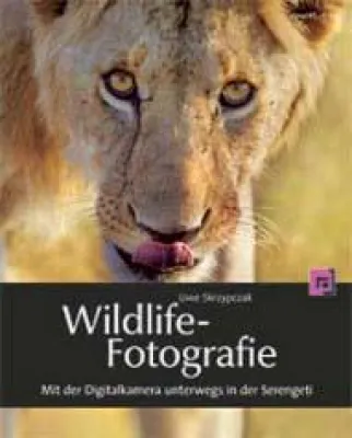 Wildlife Fotografie - Mit der Digitalkamera unterwegs in der Serengeti Bild: Wildlife Fotografie - Mit der Digitalkamera unterwegs in der Serengeti