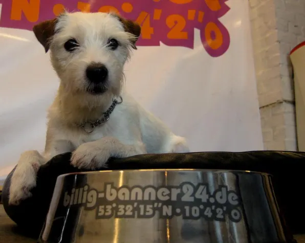 Bild: Liesel's Welt - tägliche Namenskolumne von billig-banner24.de aus Hamburg