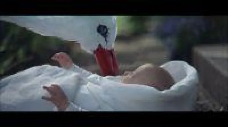 Bild: Der Fiat-Storch ist Klick-Millionär