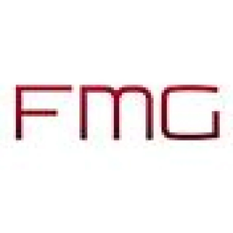 FutureManagementGroup AG