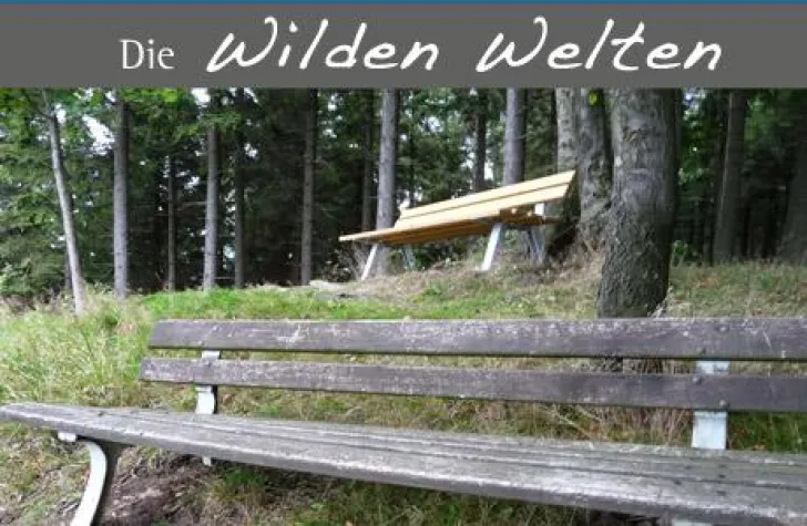 Bild: Samstag 11.04.2009 - Geführte Wanderung auf dem Hohen Knochen im Sauerland