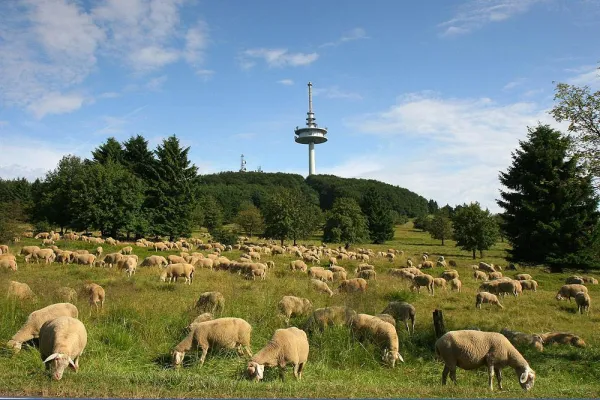Bild: Fotosafari auf dem Vulkan Vogelsberg – Wochenendworkshop Reisefotografie auf dem Hoherodskopf