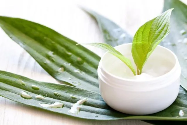 Bild: Naturkosmetik: Wirksame Alternative zur Chemie aus dem Supermarkt