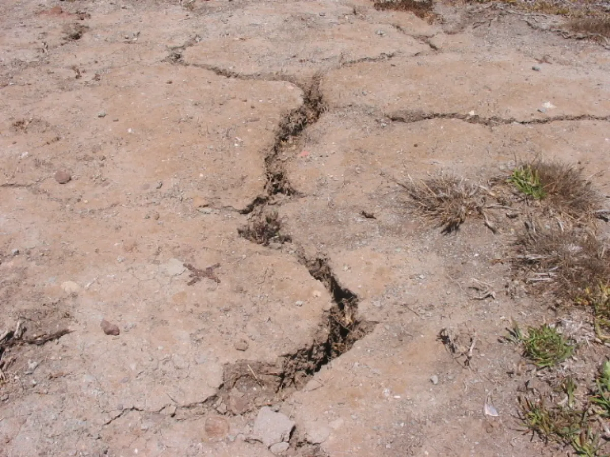 Hier sollte grüner Rasen spriessen....