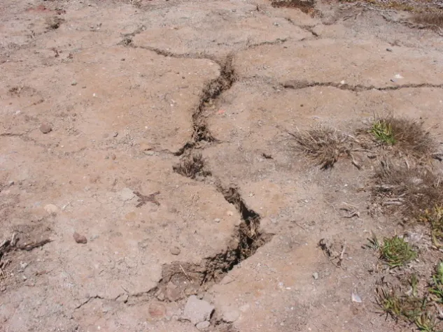 Portugal - Gärten bewässern und Autos waschen verboten Bild: Portugal - Gärten bewässern und Autos waschen verboten