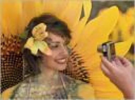 Bild: Digitale Fotografie für Einsteiger mit Dietmar Wüller  26.08.2006 in Königsdorf bei Köln