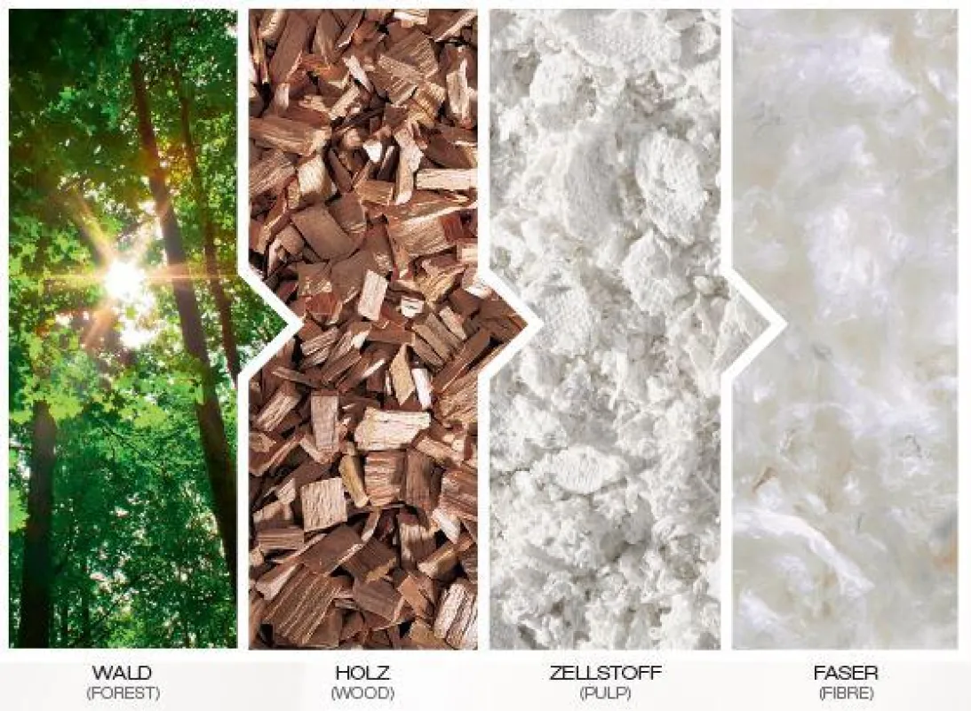 Der Weg aus dem Wald zur Faser. TENCEL® ist ein innovatives, revolutionäres Produkt.