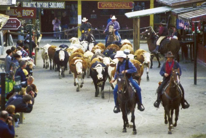 Bild: Familienurlaub in Bayern Sport, Spiel und viel Spaß erleben