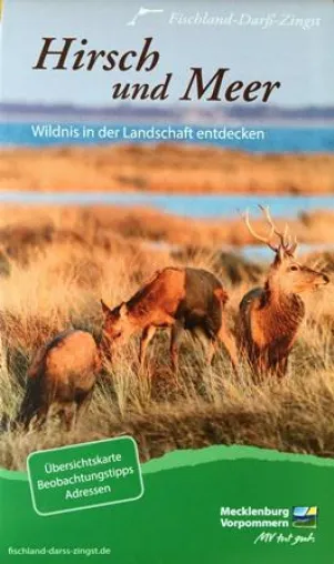 Spendensammeln für den Nationalpark – Tourismusverband legt Naturerlebniskarte „Hirsch und Meer“ neu auf Bild: Spendensammeln für den Nationalpark – Tourismusverband legt Naturerlebniskarte „Hirsch und Meer“ neu auf