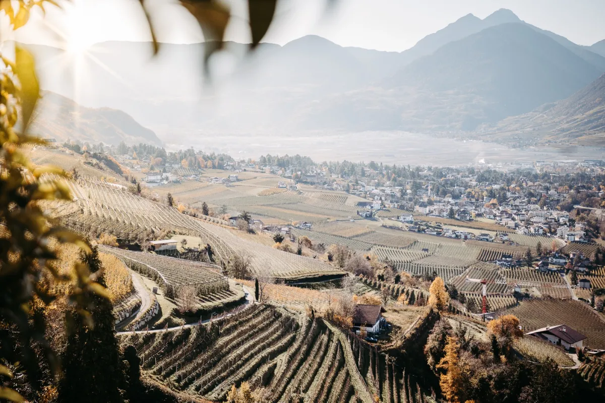 Blick von Schenna auf den Meraner Talkessel (© Björn Ahrndt )