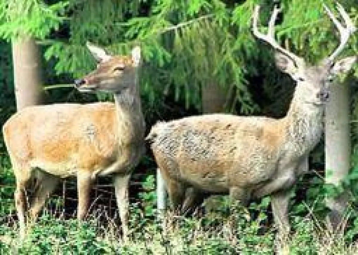 Twittern mit den Begabten - Photo: traumphoto.com