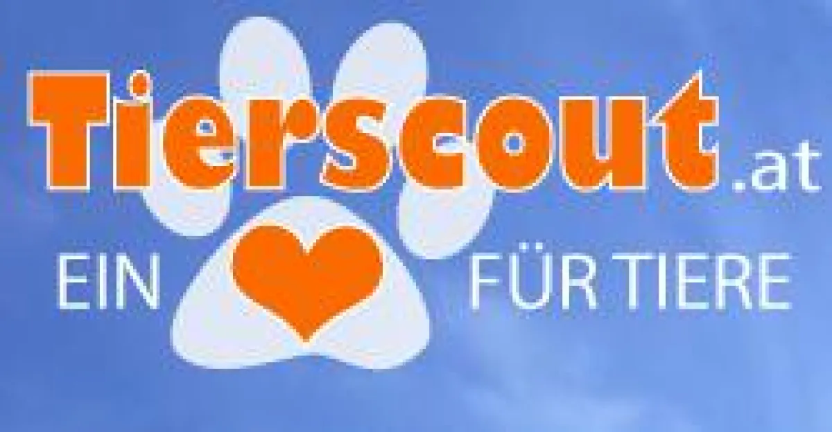 www.tierscout.at - Ein Bild von MS Webdesign Michael Stern
