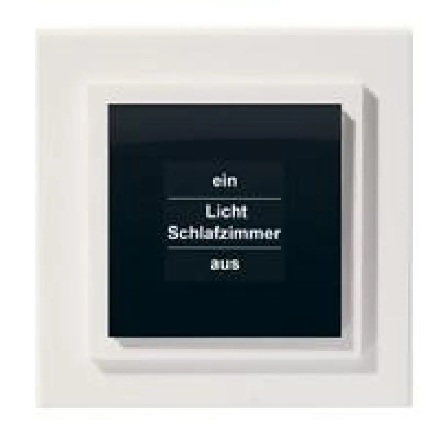 Funk-Display-Wandtaster: garantierte Ablesbarkeit über OLED-Vollgrafik-Display