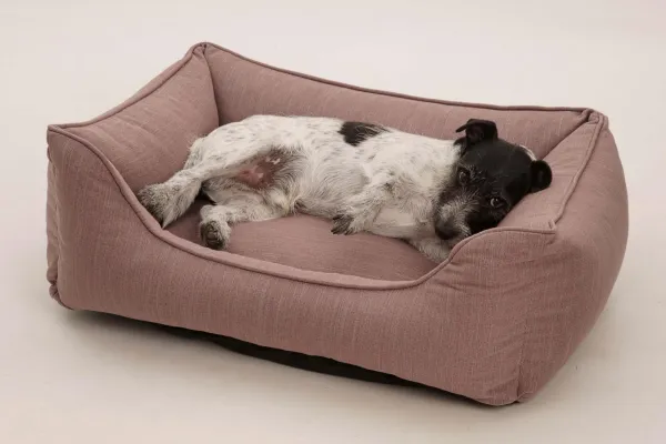 Bild: Hundekörbchen aus PET Flaschen - nachhaltig, neu & innovativ