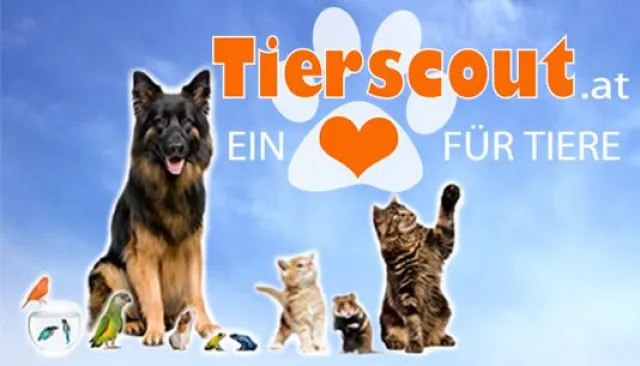 Bild: Das neue Tier-Netzwerk Tierscout.at - Inserate, Suchplakate, Verzeichnisse, Events, Tiershop, Forum uvm.