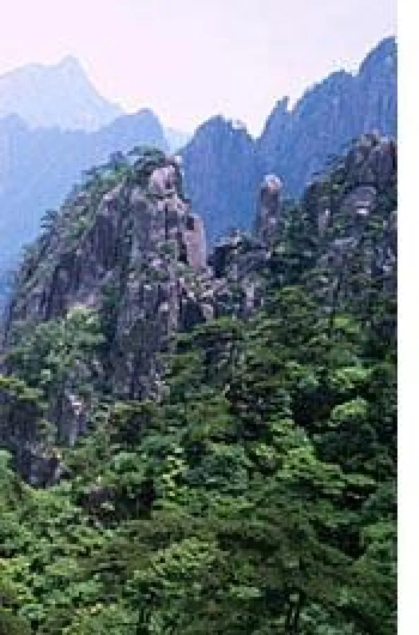 Region Ningxia in China, Anbaugebiet der legendären Ningxia Wolfsbeeren