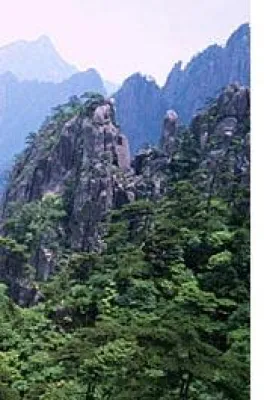 Bild: Die Legende der Goji Beere aus Ningxia