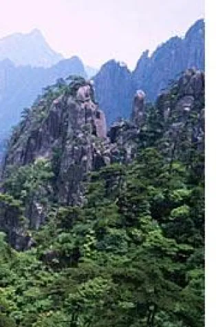 Bild: Die Legende der Goji Beere aus Ningxia