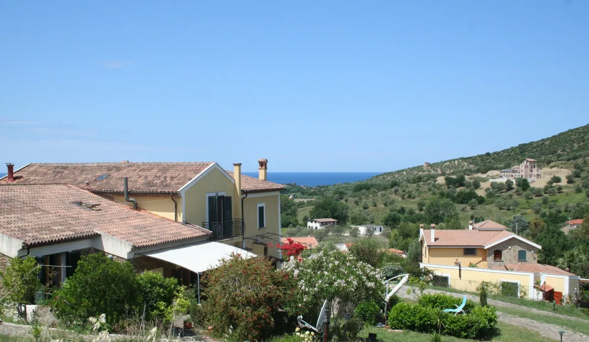 Olivenernte 2021 auf unserem Landgut Mezzorecchio in Castellabate / Cilento (© Edith Heindl)