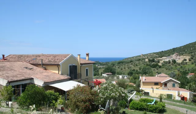 Bild: Olivenernte im Cilento 